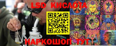 ГАЛЛЮЦИНОГЕННЫЕ ГРИБЫ Заволжье
